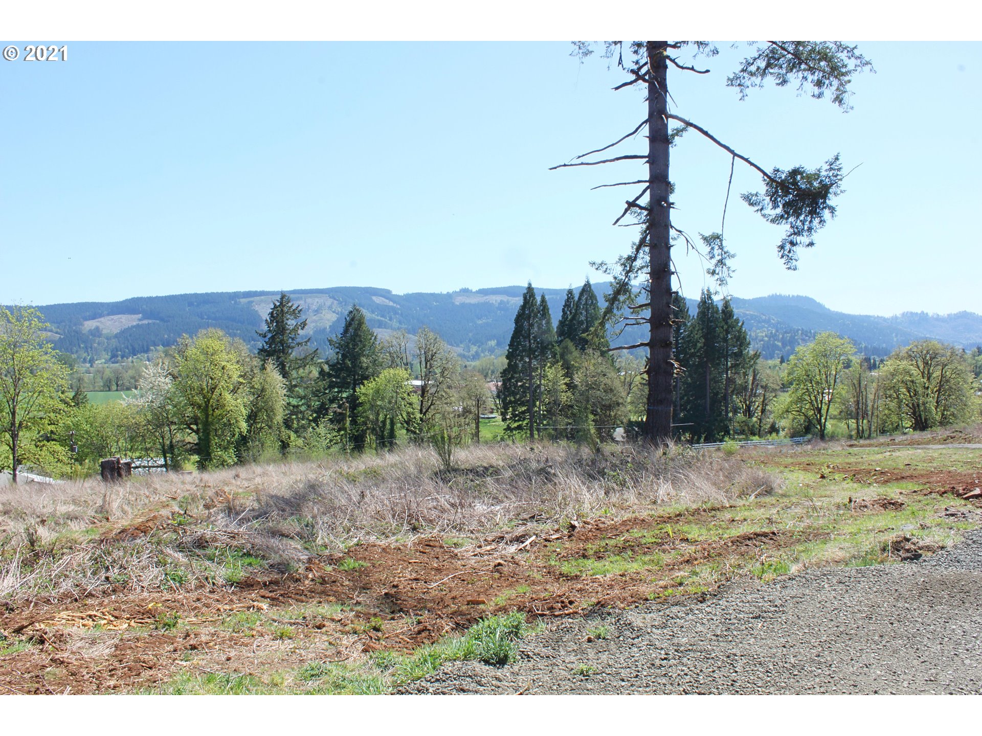 Donna Road Springfield, OR 97478 - Photo 14 of 21 Gallery Image 14