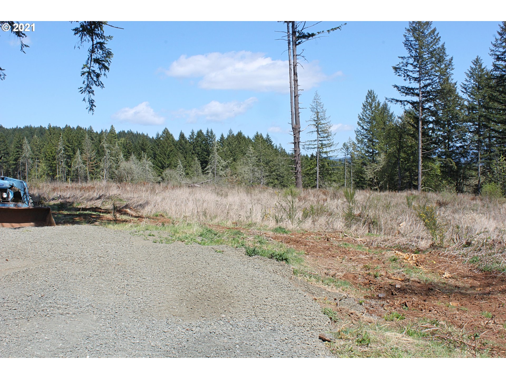 Donna Road Springfield, OR 97478 - Photo 15 of 21 Gallery Image 15