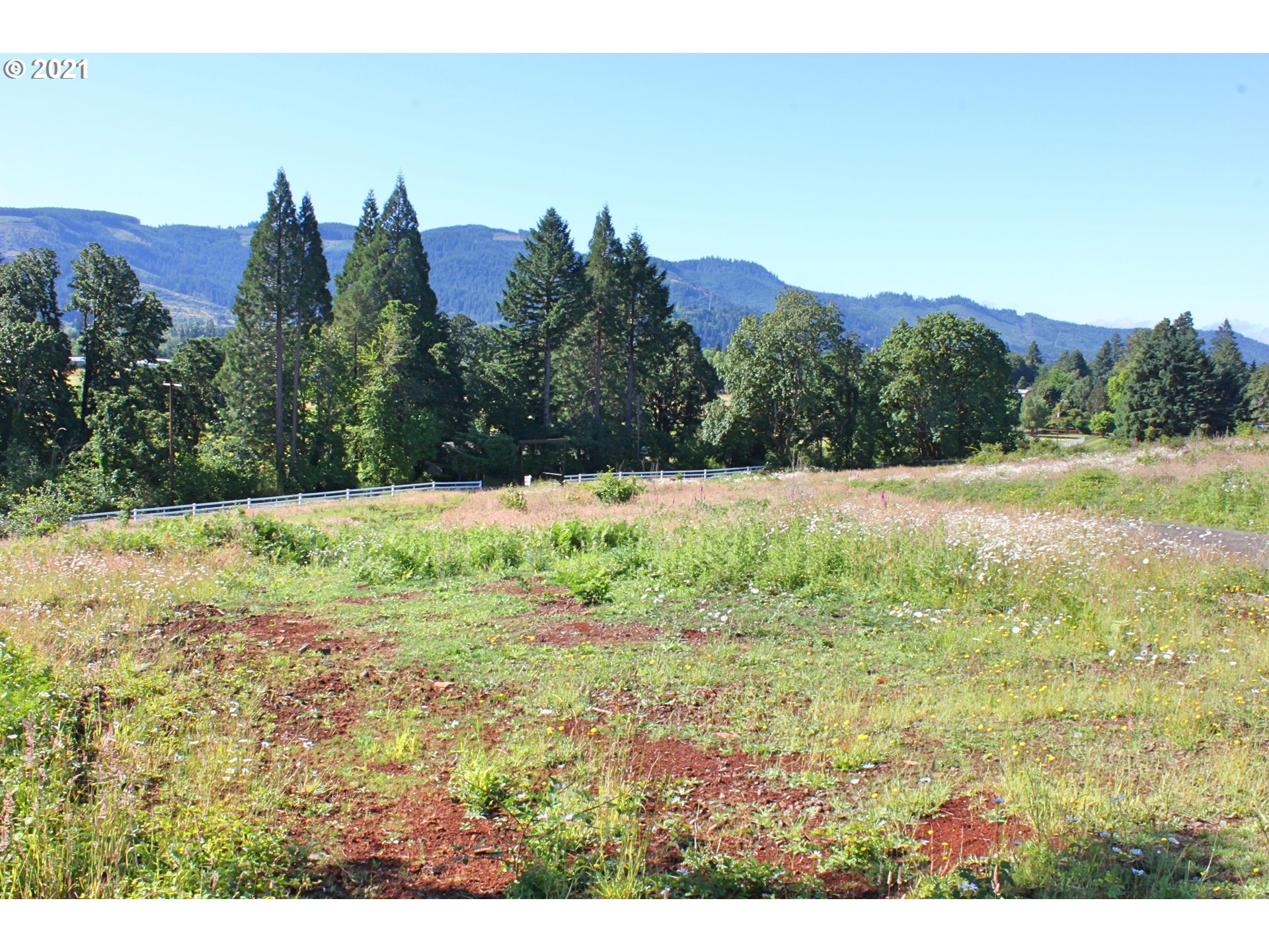 Donna Road Springfield, OR 97478 - Photo 20 of 21 Gallery Image 20