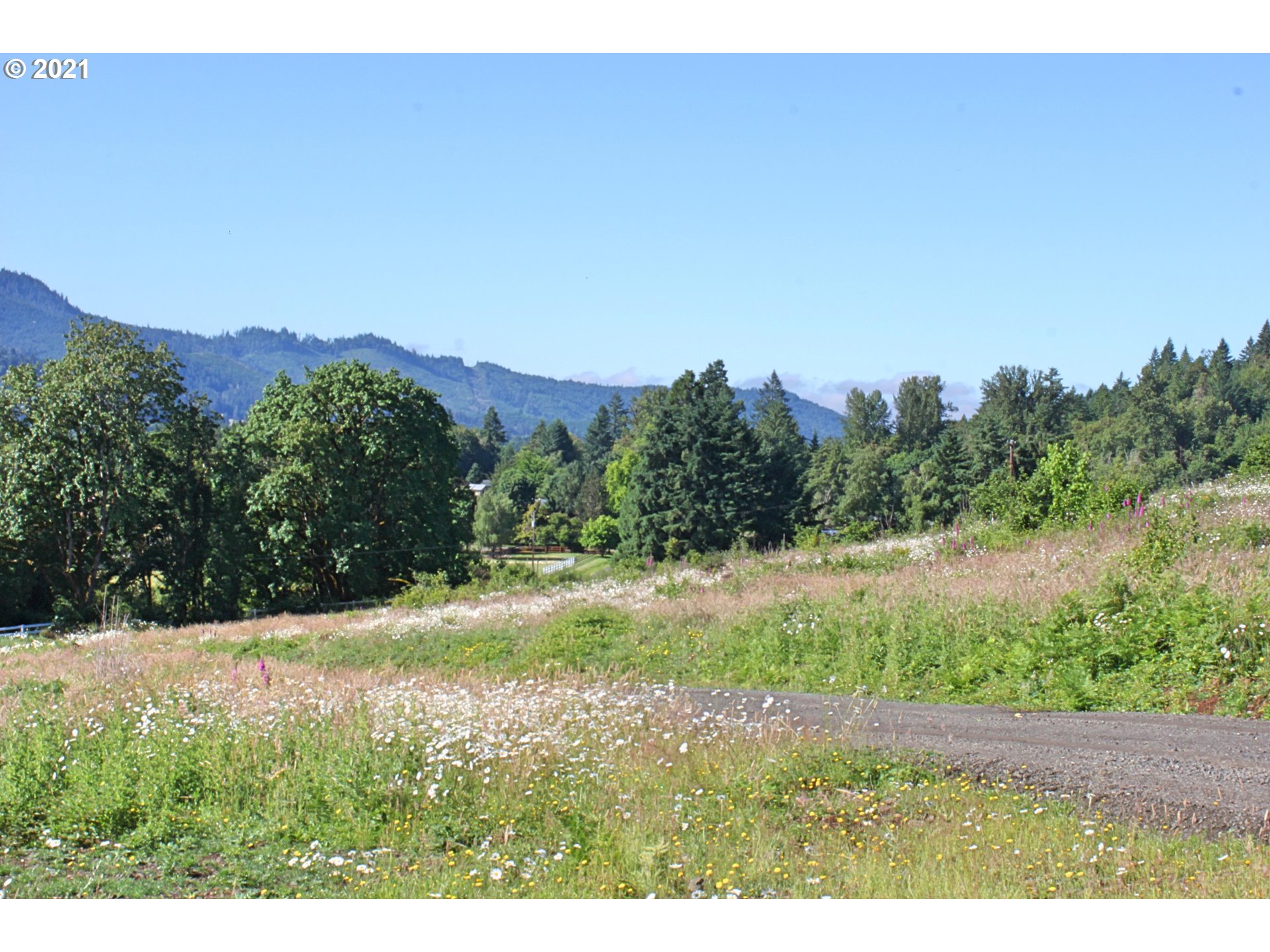 Donna Road Springfield, OR 97478 - Photo 21 of 21 Gallery Image 21