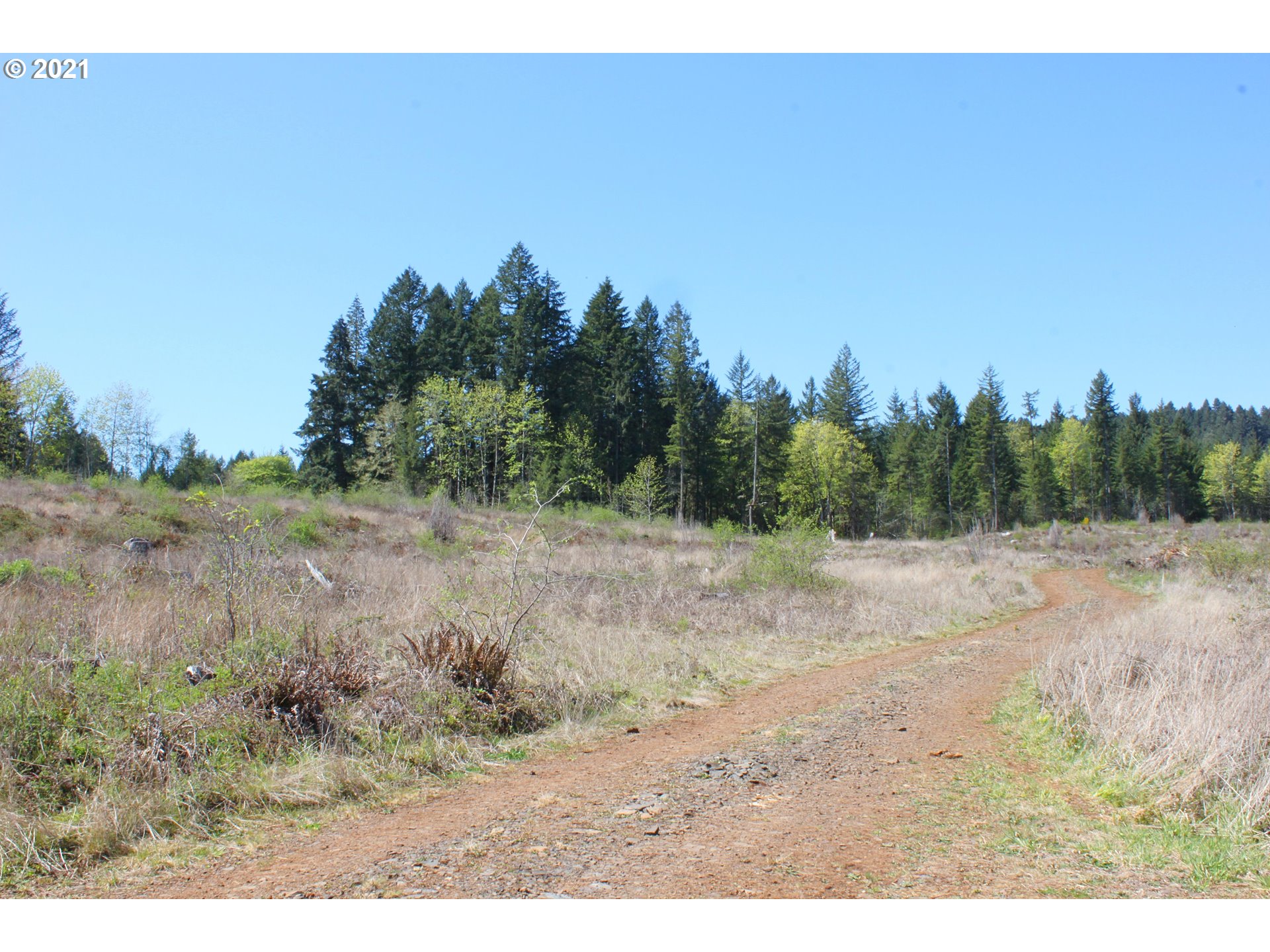Donna Road Springfield, OR 97478 - Photo 10 of 21 Gallery Image 10