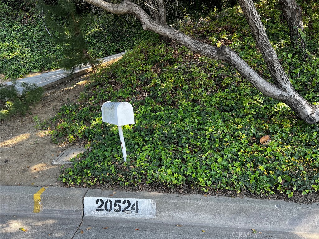 20524 Missionary Ridge Street Walnut, CA 91789 - Photo 23 of 26 a view of a street with flower plants