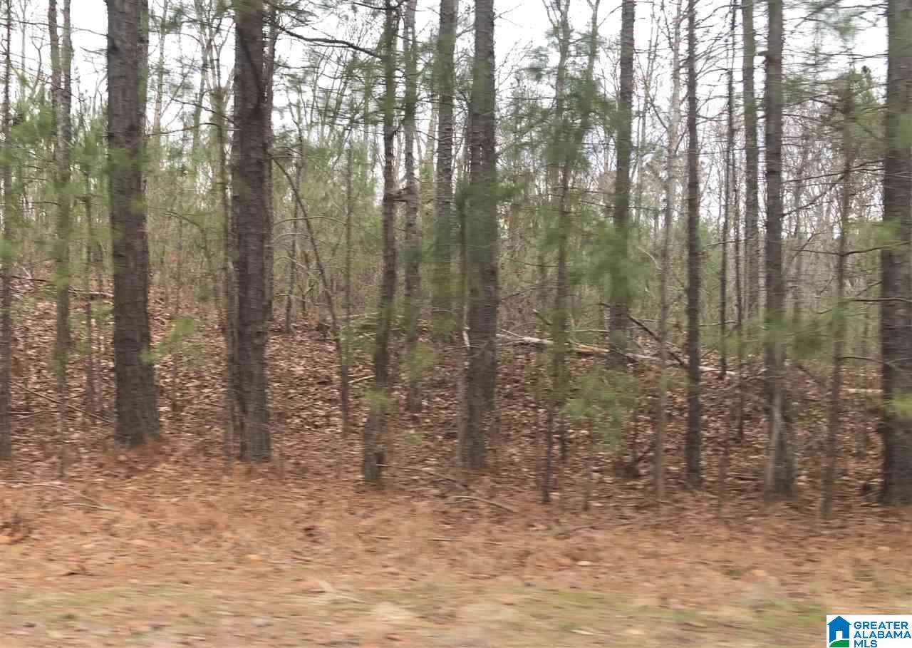 0 Clairmont Springs Road, Unit 54 ACRES Lineville, AL 36266 - Photo 2 of 2