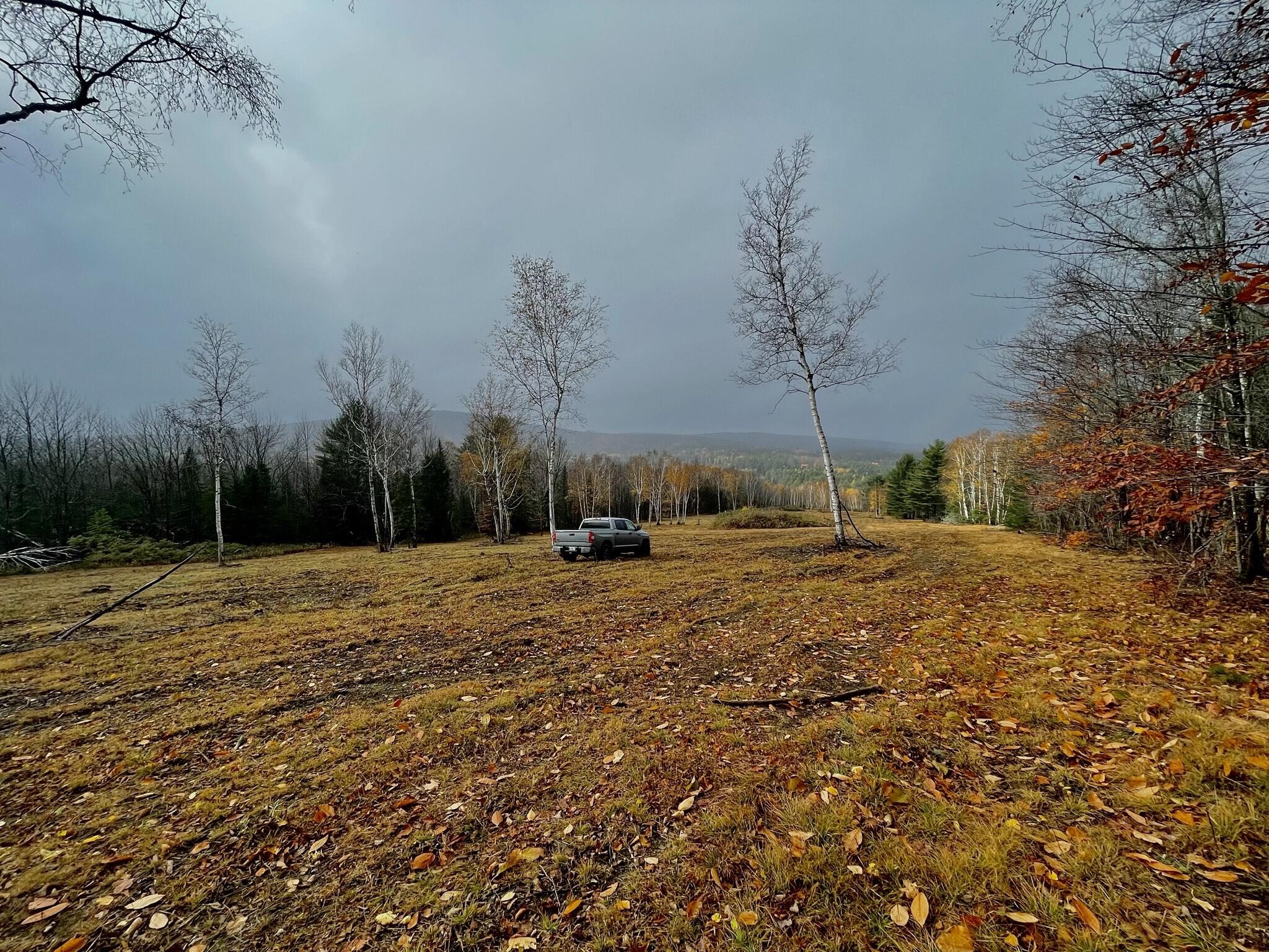 image_6487327-2