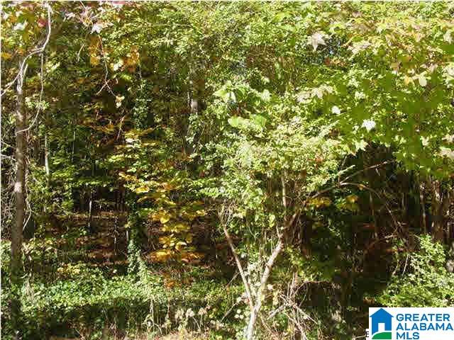 Choccolocco Road, Unit 2 43 Anniston, AL 36201 - Photo 1 of 10