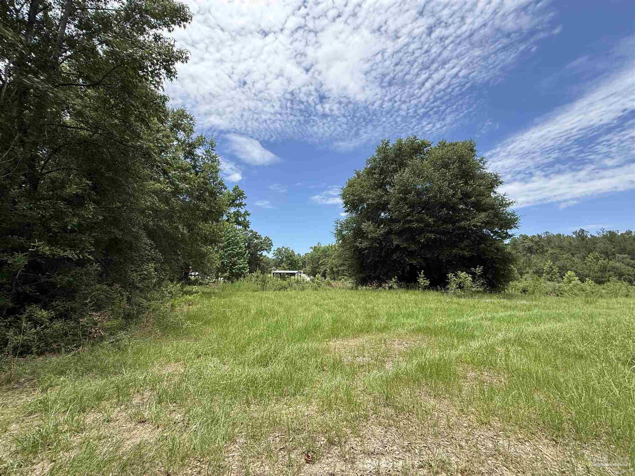 296 Salters Lake Road Century, FL 32535 - Photo 16 of 34
