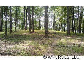 5 Winding Ridge Road, Unit 5 Asheville, NC 28803 - Photo 3 of 5 Gallery Image 3