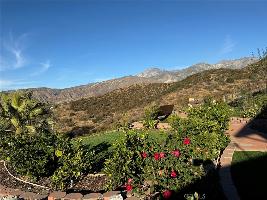 11945 Pendleton Road Yucaipa, CA 92399 - Photo 48 of 56 front yard views.