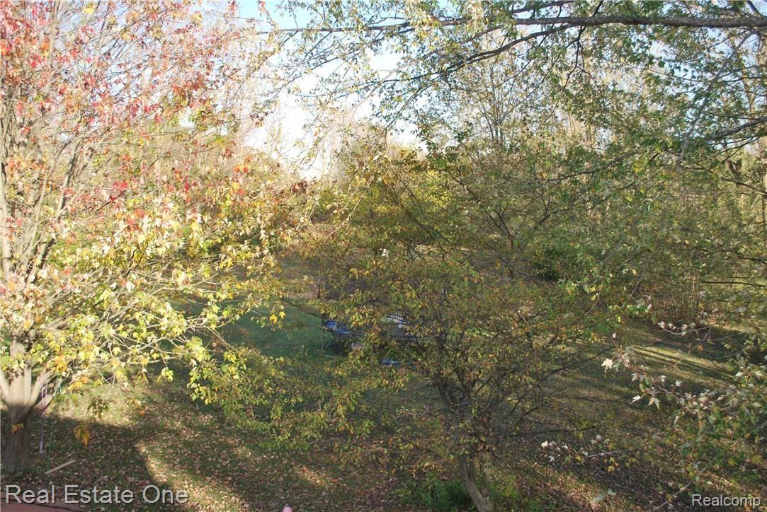 7055 Sheldon Road Belleville, MI 48111 - Photo 38 of 74 Balcony View.