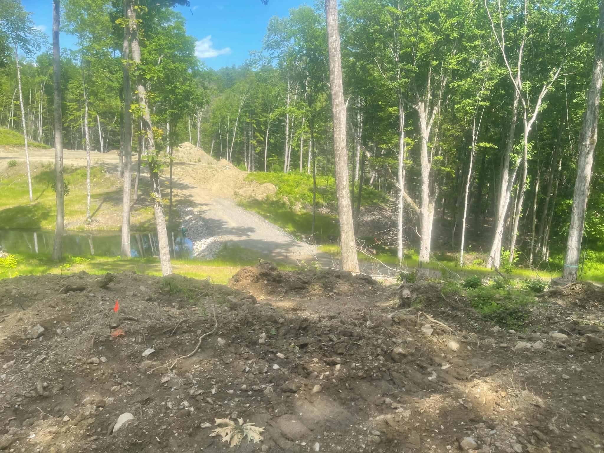 932 Middle Road Dummerston, VT 05301 - Photo 8 of 24