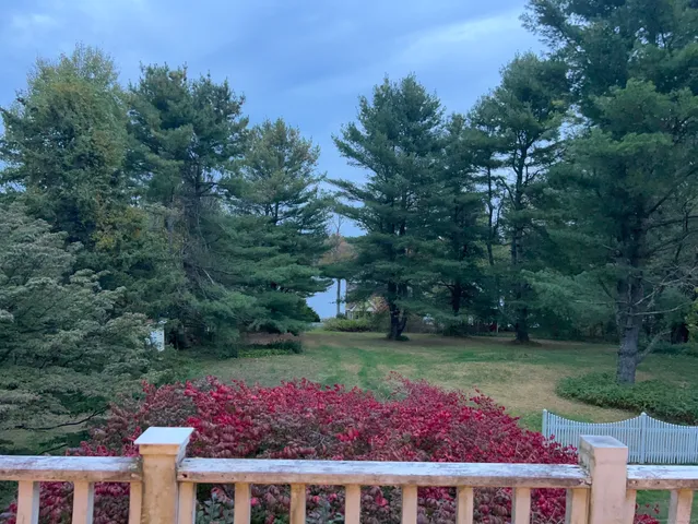 a view of a garden with an outdoor space