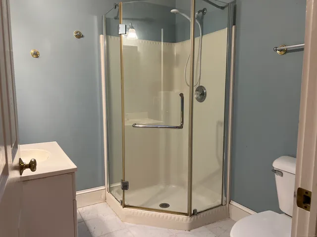 a bathroom with a shower and toilet
