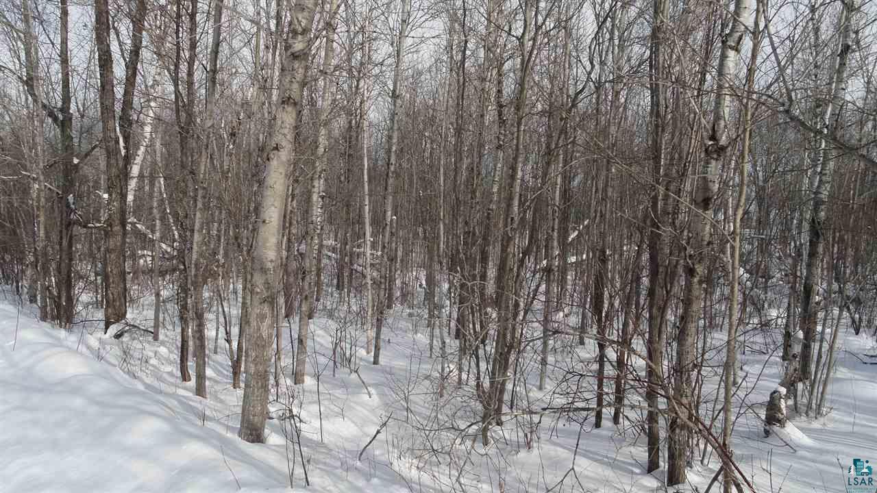 Xxx Martin Road Duluth, MN 55803 - Photo 3 of 9 Gallery Image 3