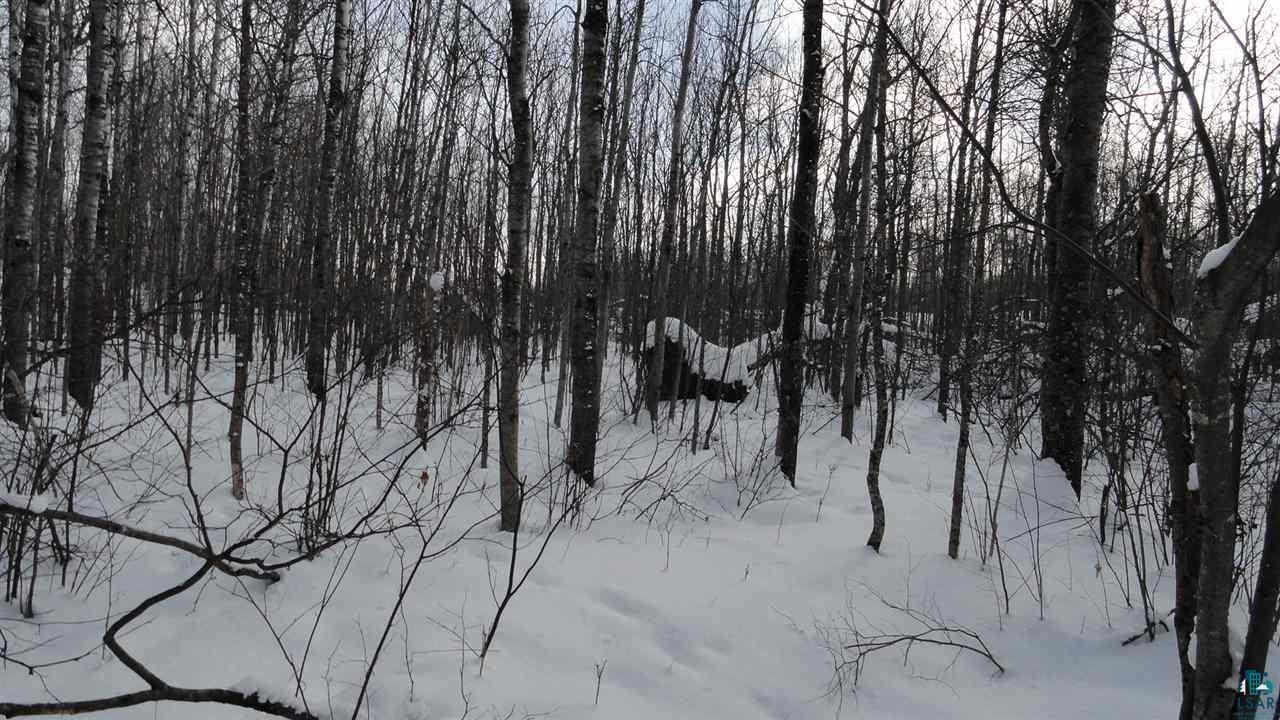 Xxx Martin Road Duluth, MN 55803 - Photo 5 of 9 Gallery Image 5