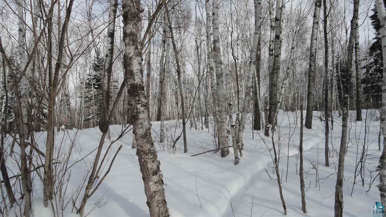 Xxx Martin Road Duluth, MN 55803 - Photo 6 of 9 Gallery Image 6