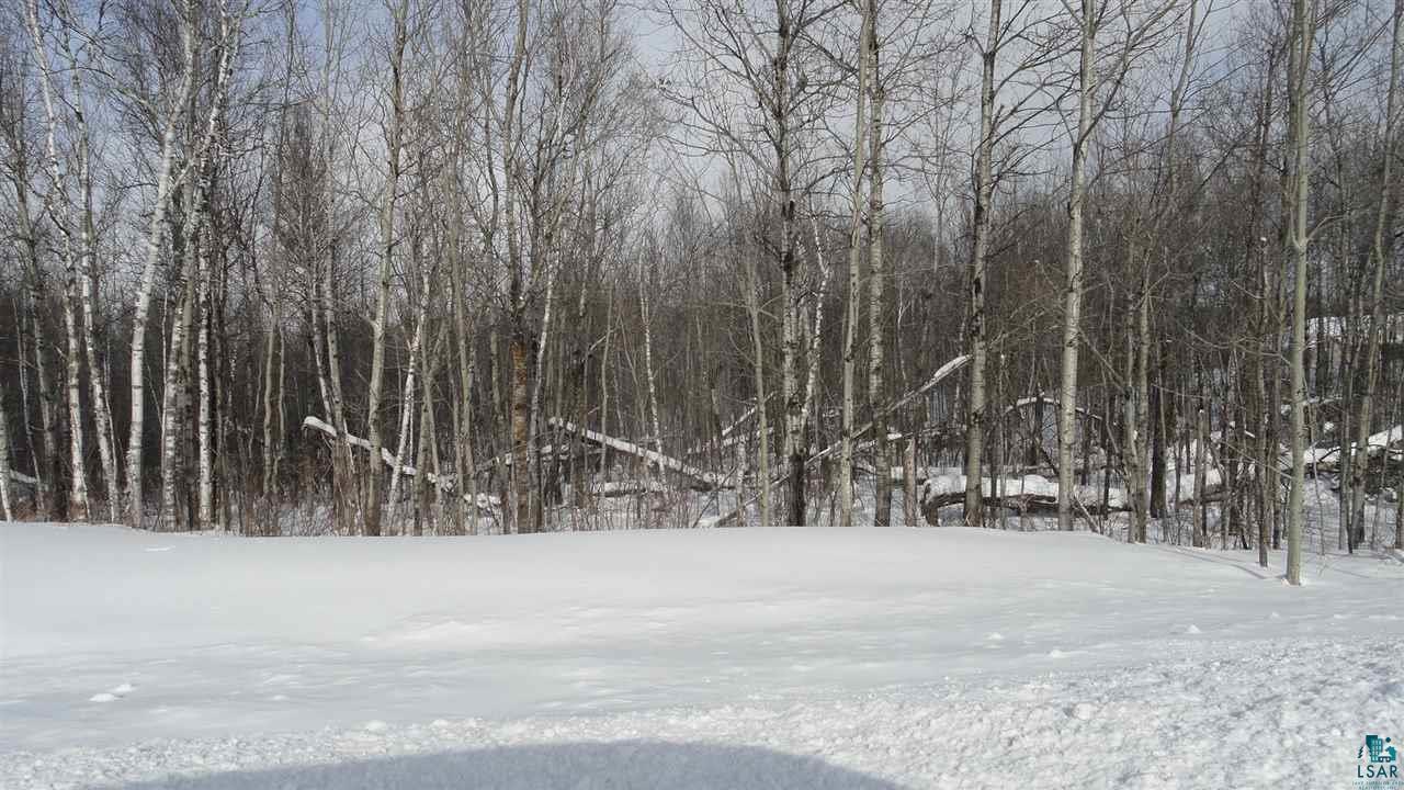 Xxx Martin Road Duluth, MN 55803 - Photo 7 of 9 Gallery Image 7
