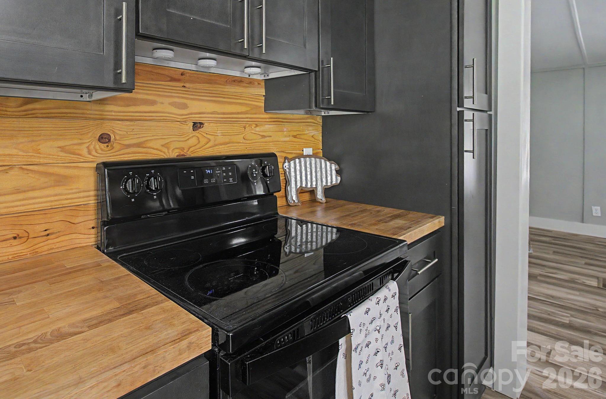 1011 Reed Street Asheville, NC 28804 - Photo 16 of 44