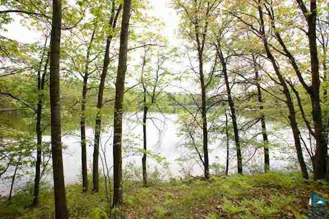 Lot 2 West Bass Lake Road Iron River, WI 54847 - Photo 1 of 4 Gallery Image 1
