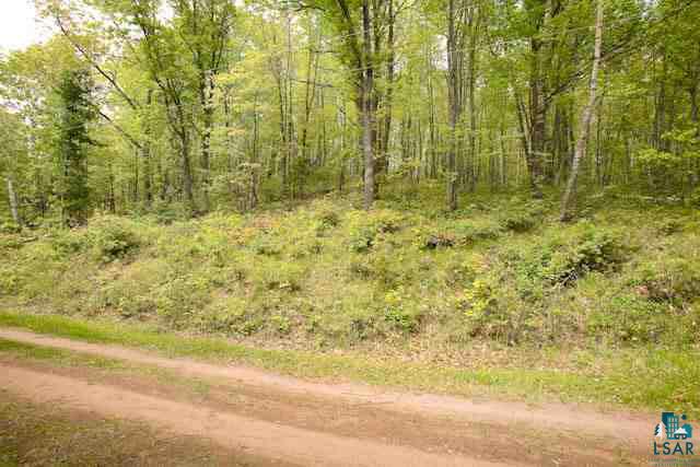 Lot 2 West Bass Lake Road Iron River, WI 54847 - Photo 3 of 4 Gallery Image 3