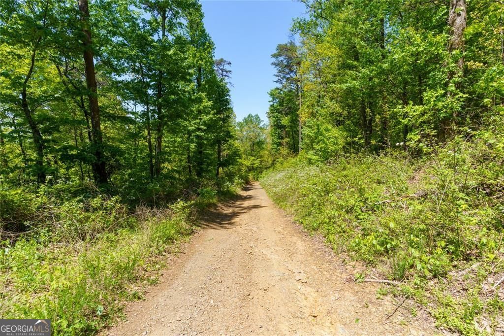 a view of a pathway both side of yard