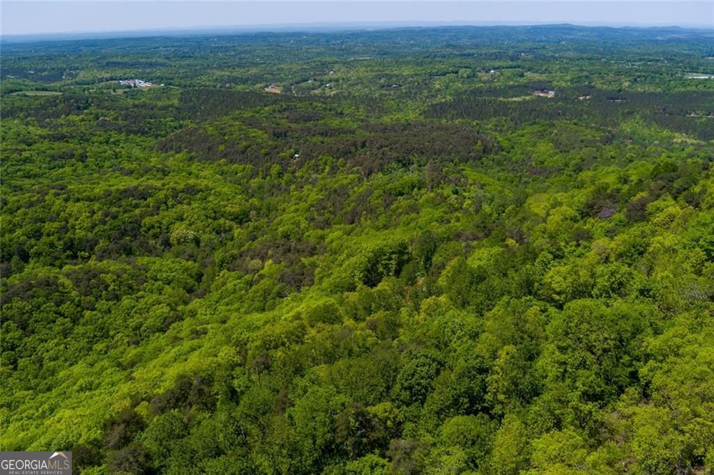 0 Fire Tower Road, Unit LOT 7 Jasper, GA 30143 - Photo 12 of 12 a view of a lush green forest with lush green forest and mountain view