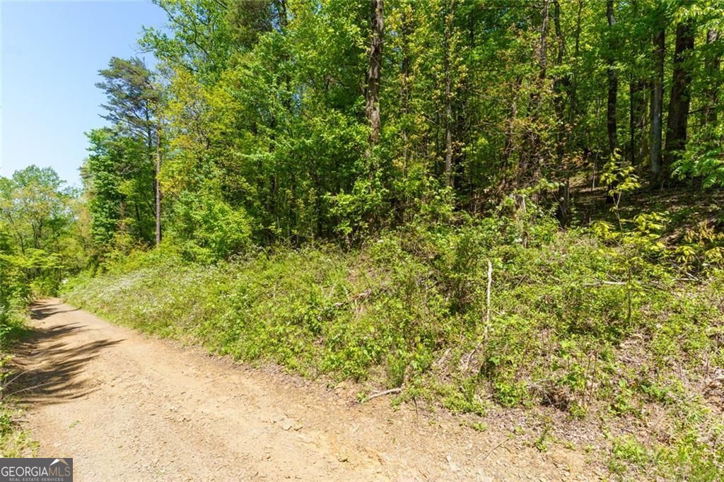 0 Fire Tower Road, Unit LOT 7 Jasper, GA 30143 - Photo 3 of 12 a view of a yard with plants and trees