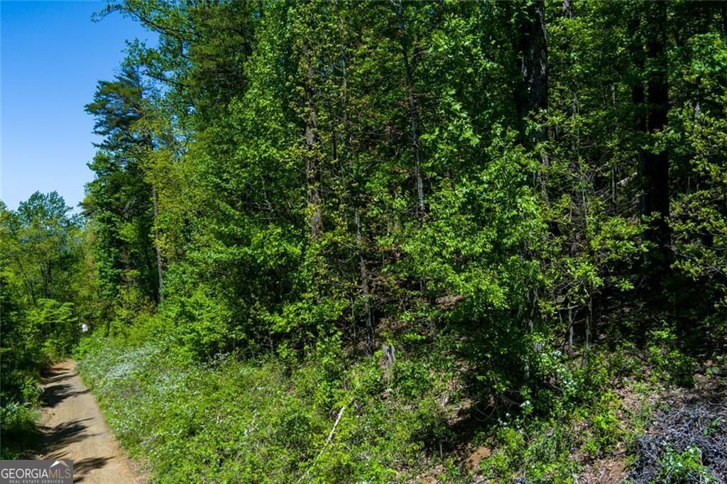 0 Fire Tower Road, Unit LOT 7 Jasper, GA 30143 - Photo 4 of 12 a view of a lush green forest