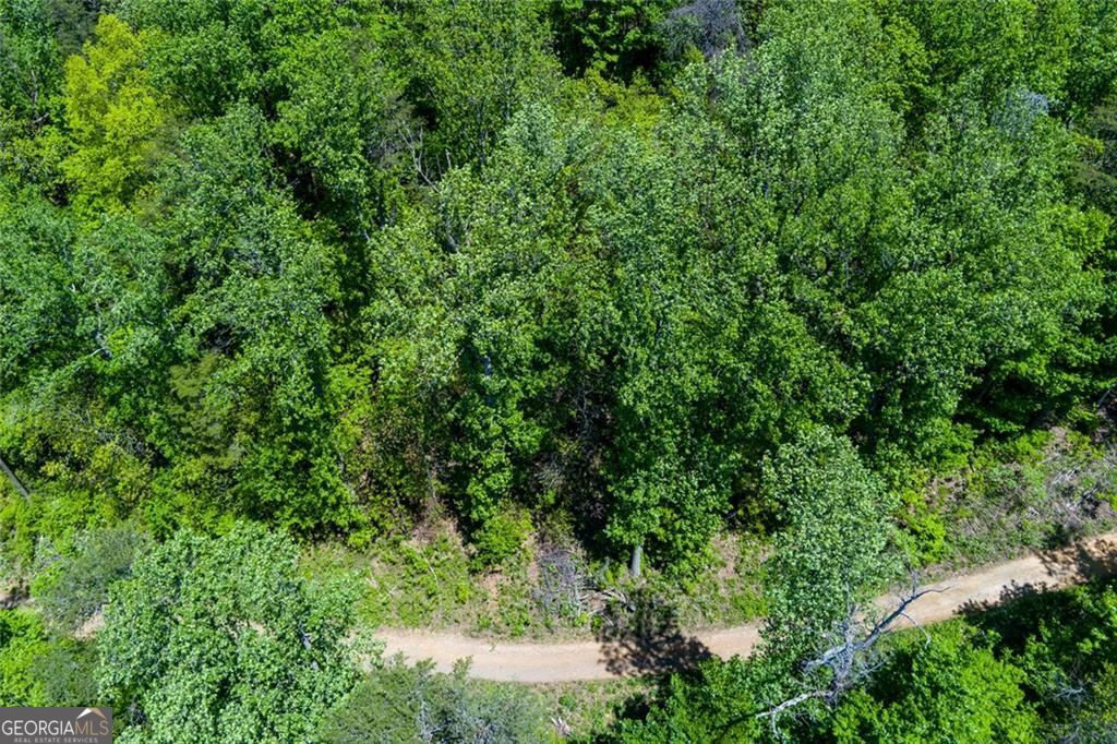 0 Fire Tower Road, Unit LOT 7 Jasper, GA 30143 - Photo 7 of 12 a view of a lush green forest