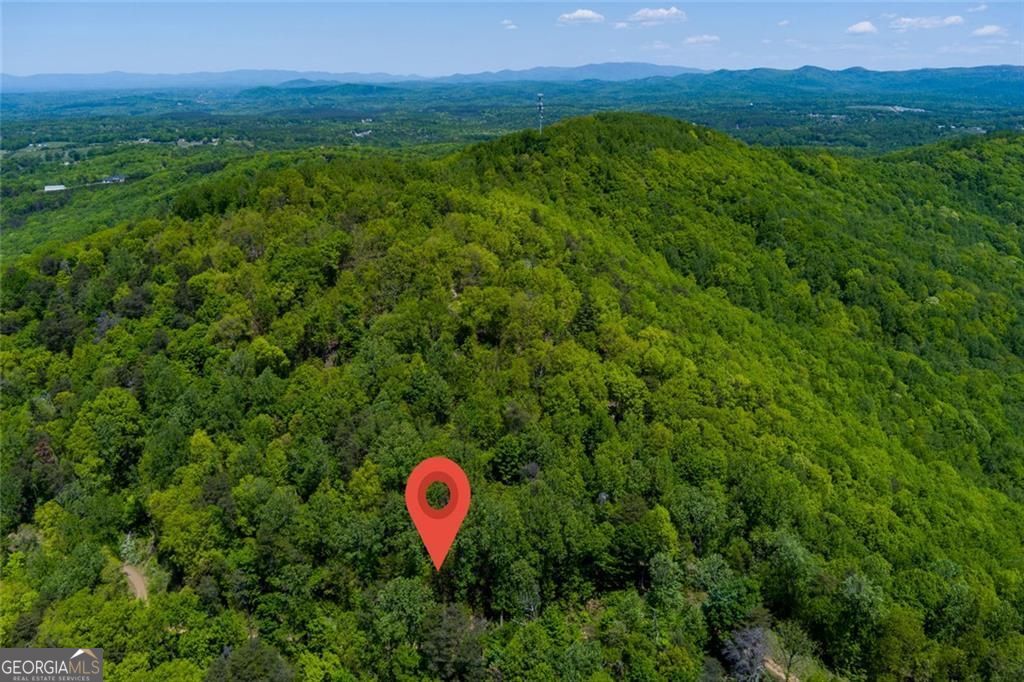 0 Fire Tower Road, Unit LOT 7 Jasper, GA 30143 - Photo 9 of 12 a view of a lush green forest