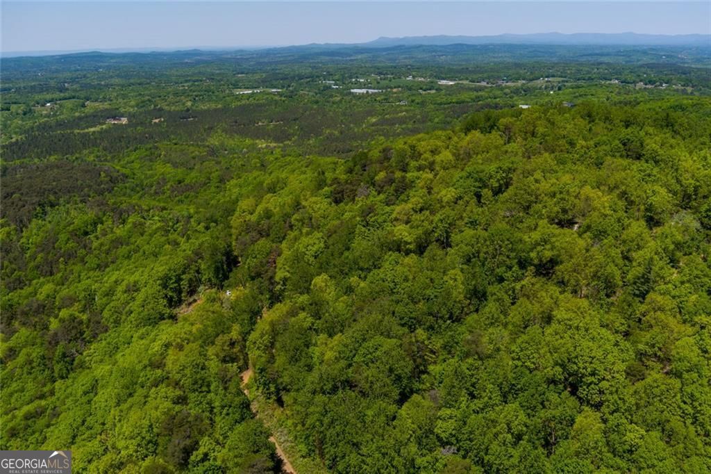 0 Fire Tower Road, Unit LOT 7 Jasper, GA 30143 - Photo 10 of 12 a view of a green field with lots of bushes