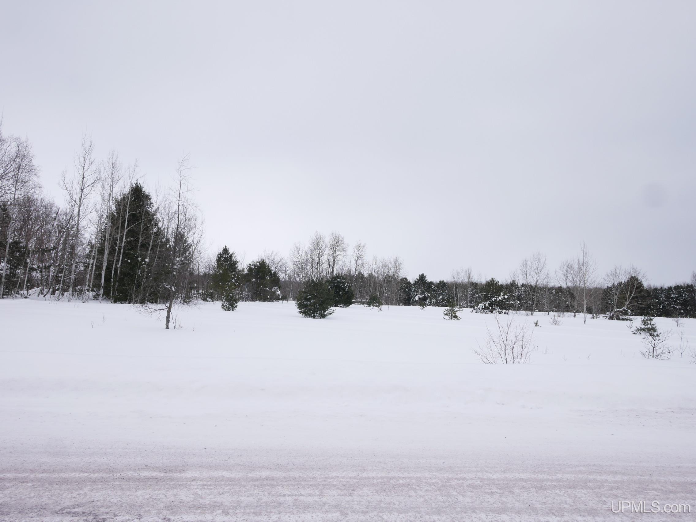 Parcel C Liminga Road Atlantic Mine, MI 49905 - Photo 27 of 28 Gallery Image 27