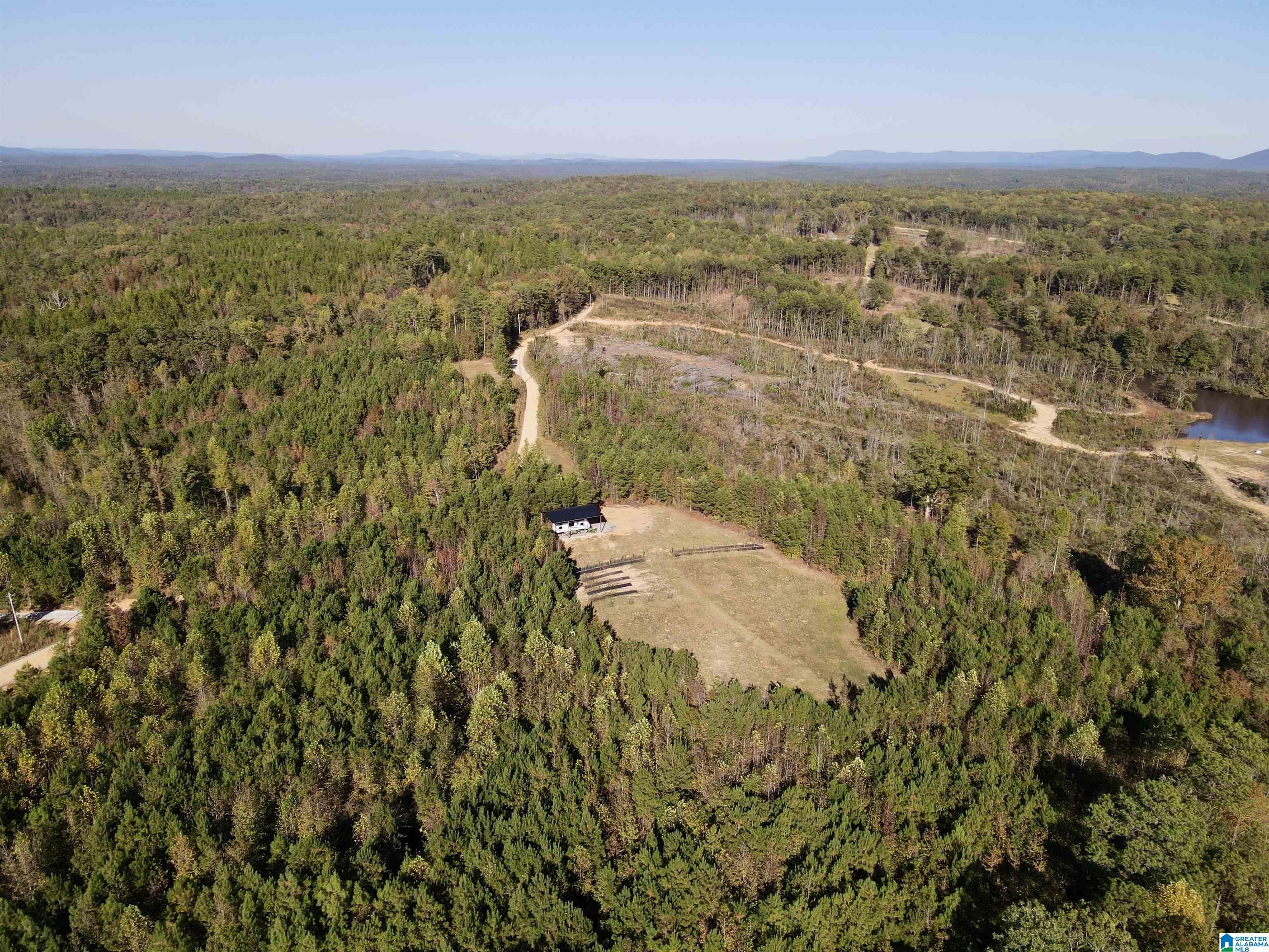7070 Rendalia Motorway Talladega, AL 35160 - Photo 9 of 28
