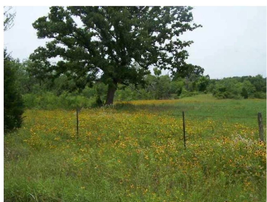 724 Kovar Road Smithville, TX 78957 - Photo 1 of 1 Gallery Image 1