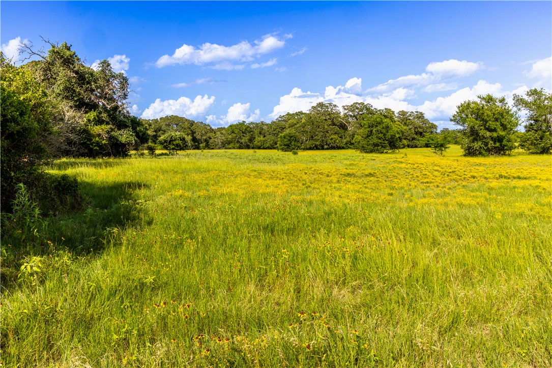 10102 Ferrill Creek Road Bryan, TX 77808 - Photo 11 of 29