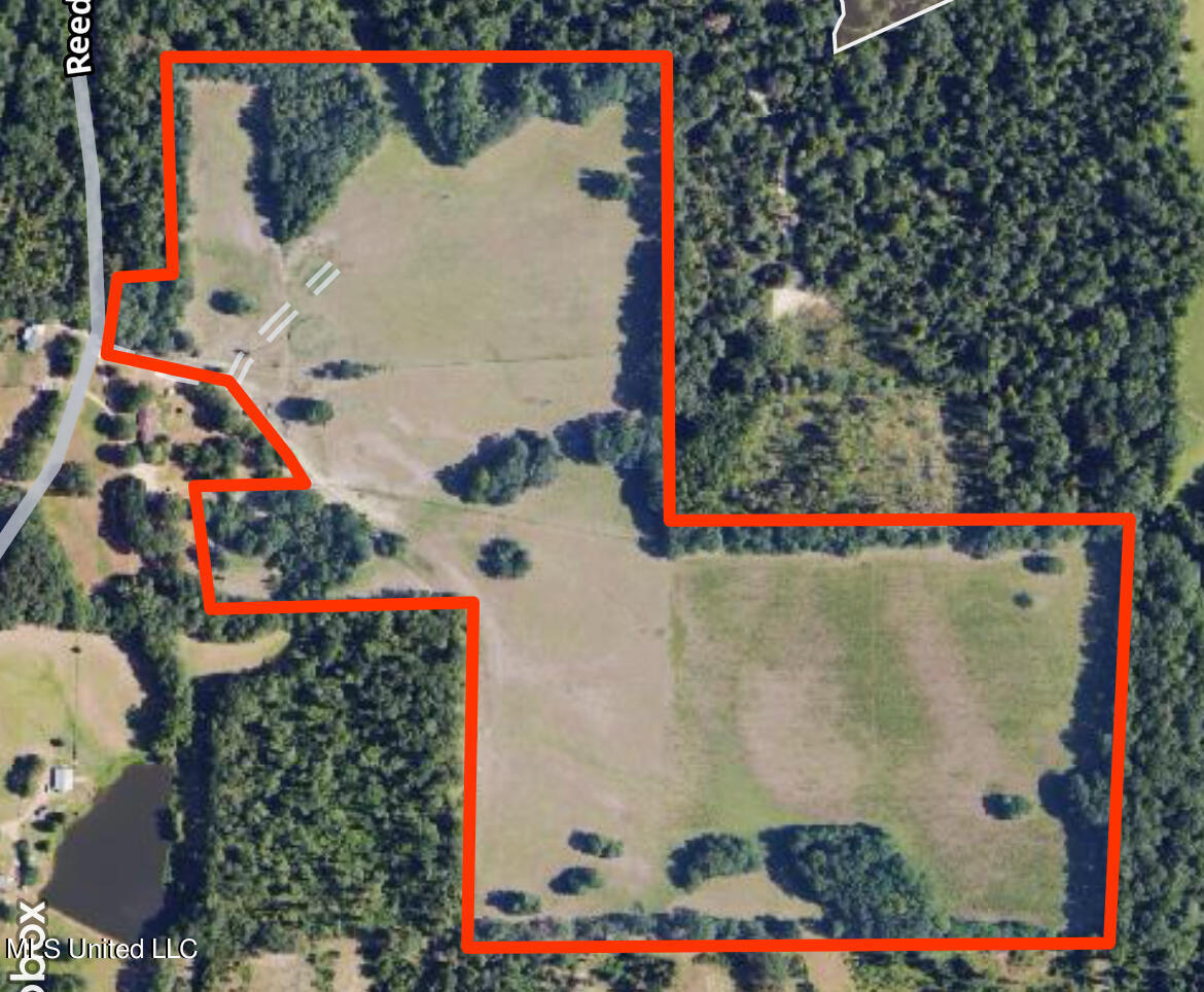 Reedtown Road Utica, MS 39175 - Photo 1 of 10 hunting tract