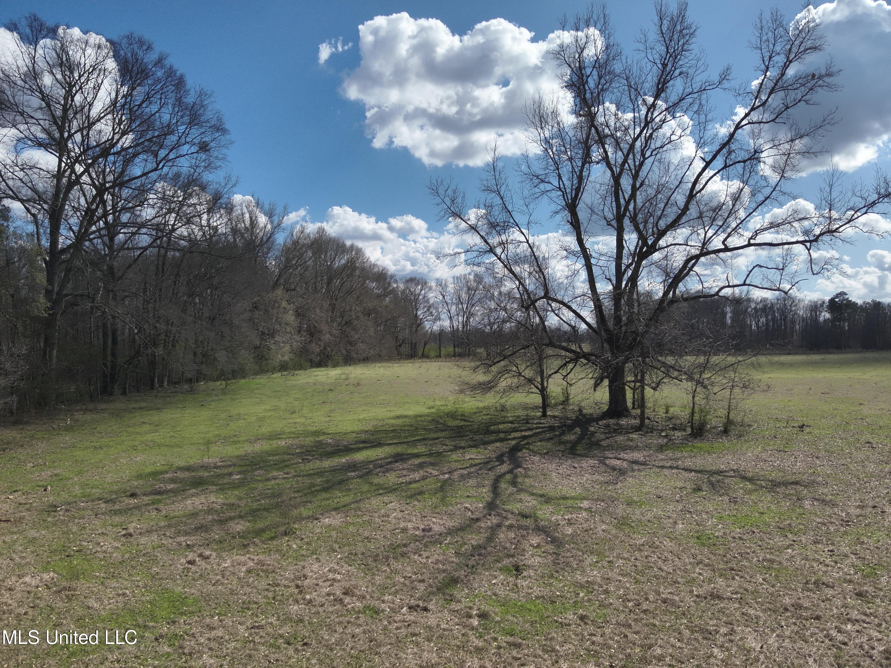 Reedtown Road Utica, MS 39175 - Photo 3 of 10 DJI_20240306142548_0002_V