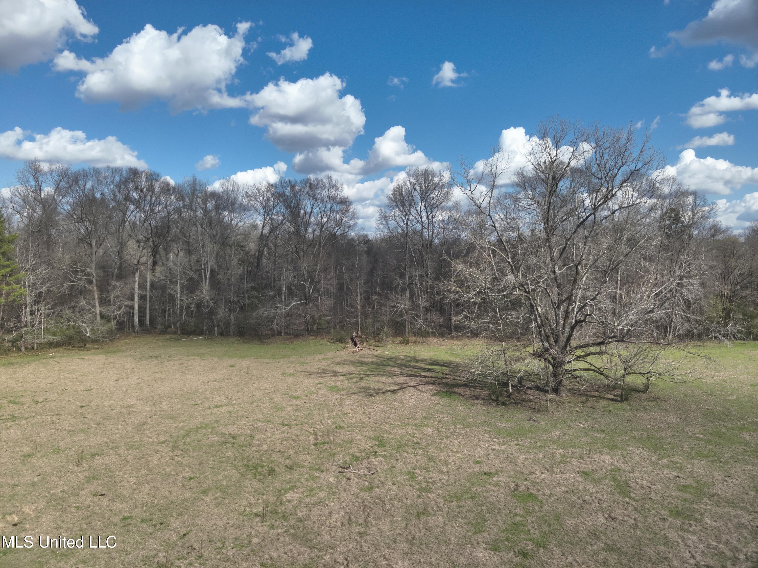Reedtown Road Utica, MS 39175 - Photo 4 of 10 DJI_20240306142534_0001_V