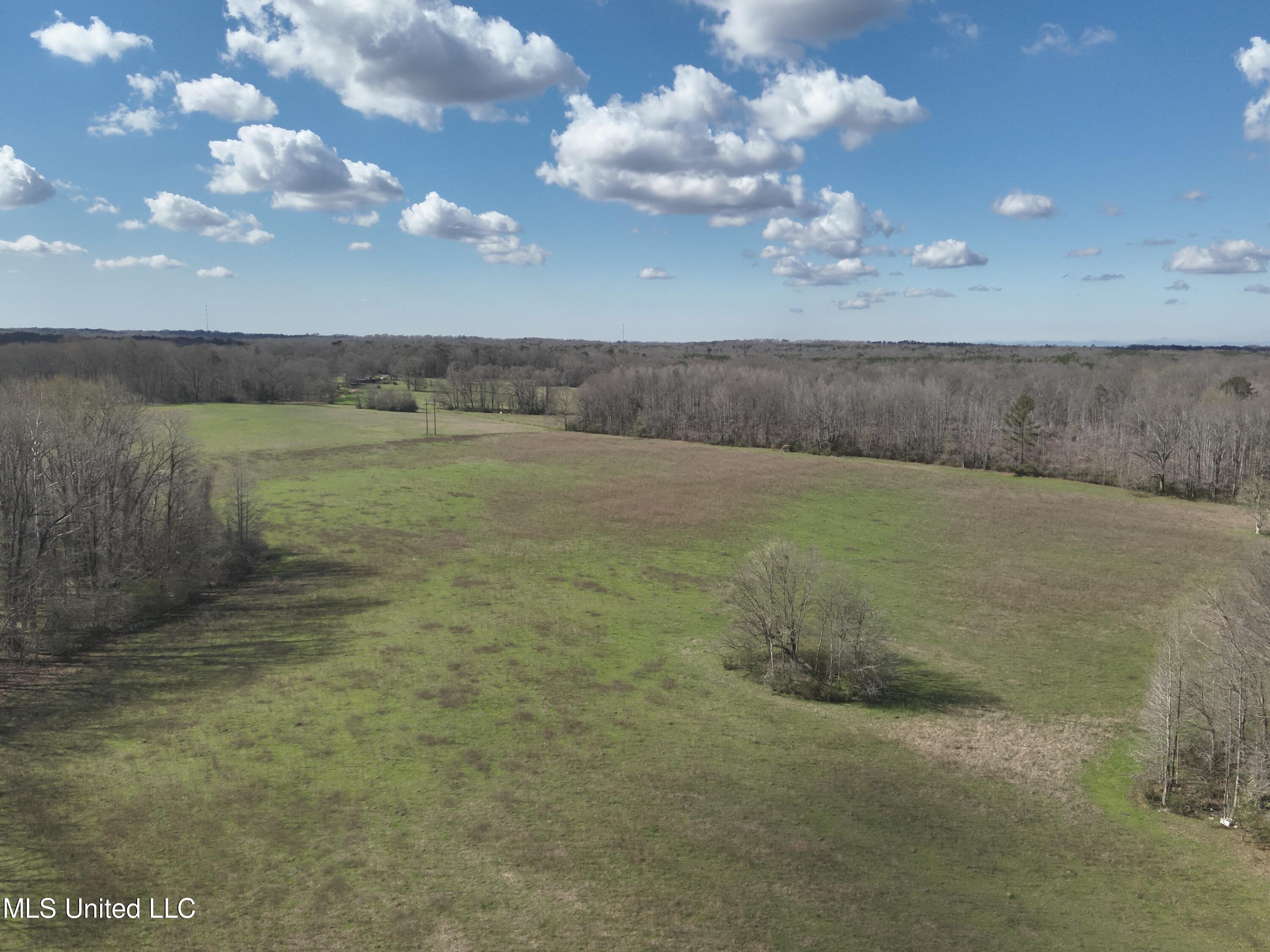 Reedtown Road Utica, MS 39175 - Photo 5 of 10 DJI_20240306143050_0005_V