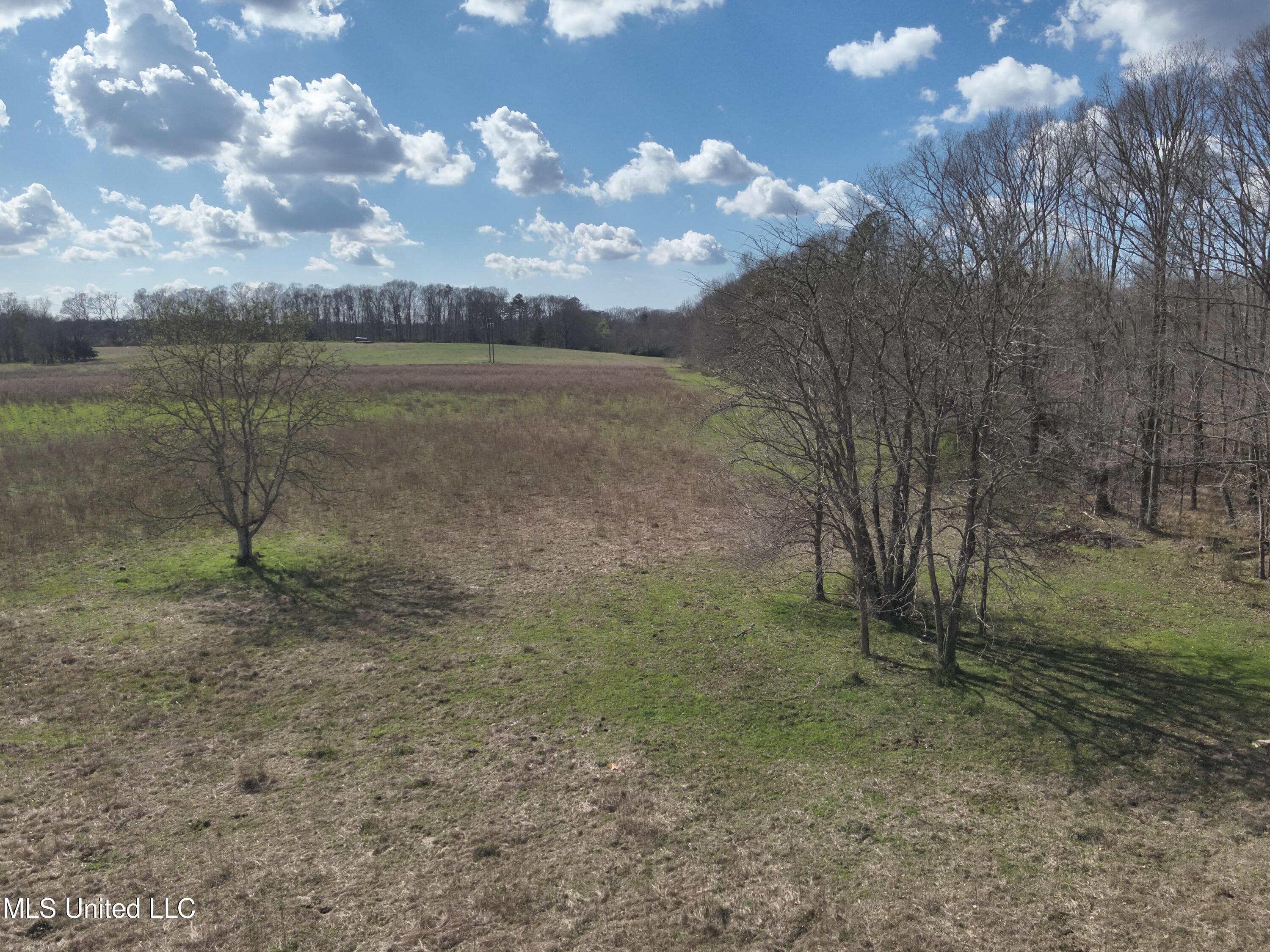 Reedtown Road Utica, MS 39175 - Photo 6 of 10 DJI_20240306143151_0009_V