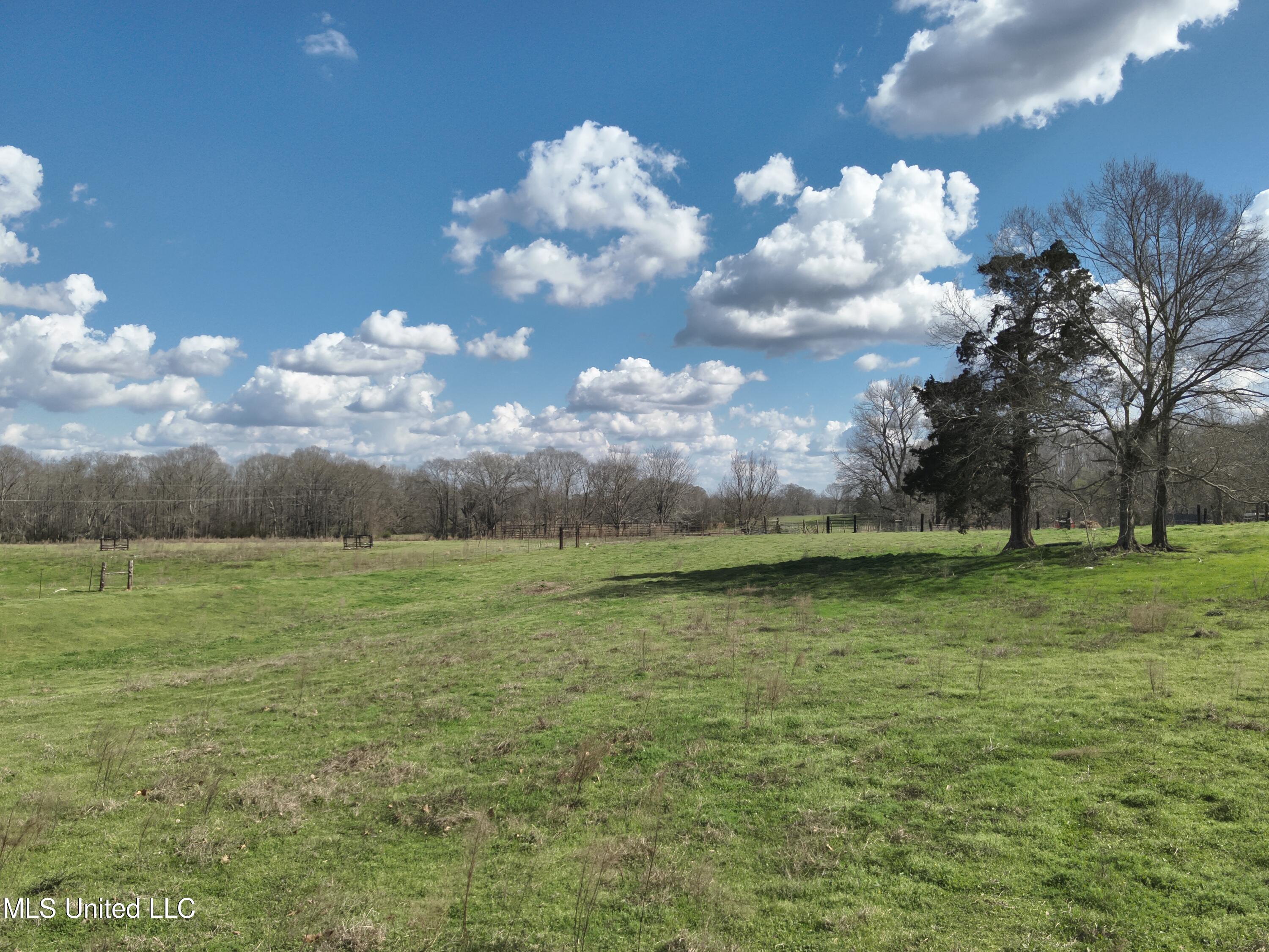 Reedtown Road Utica, MS 39175 - Photo 9 of 10 DJI_20240306143513_0025_V