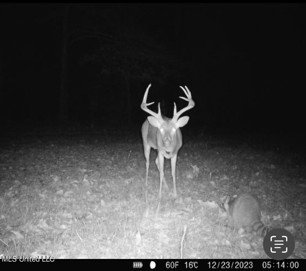 Reedtown Road Utica, MS 39175 - Photo 10 of 10 IMG_8346