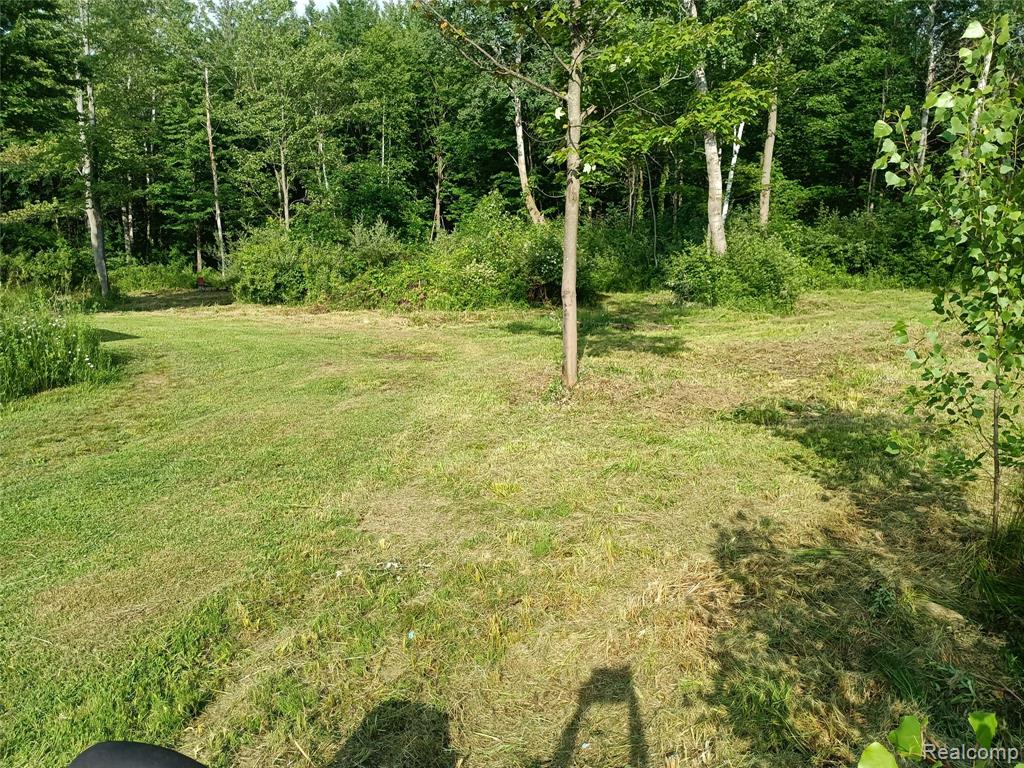 2601 Underwood Road Caro, MI 48723 - Photo 29 of 52 Gallery Image 29