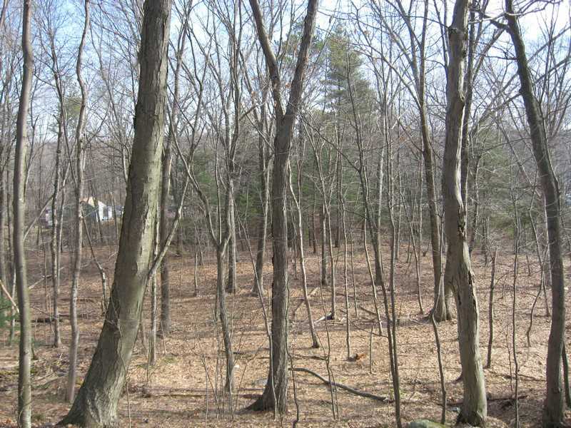 134 Log Road Smithfield, RI 02917 - Photo 4 of 6 Exterior Front.