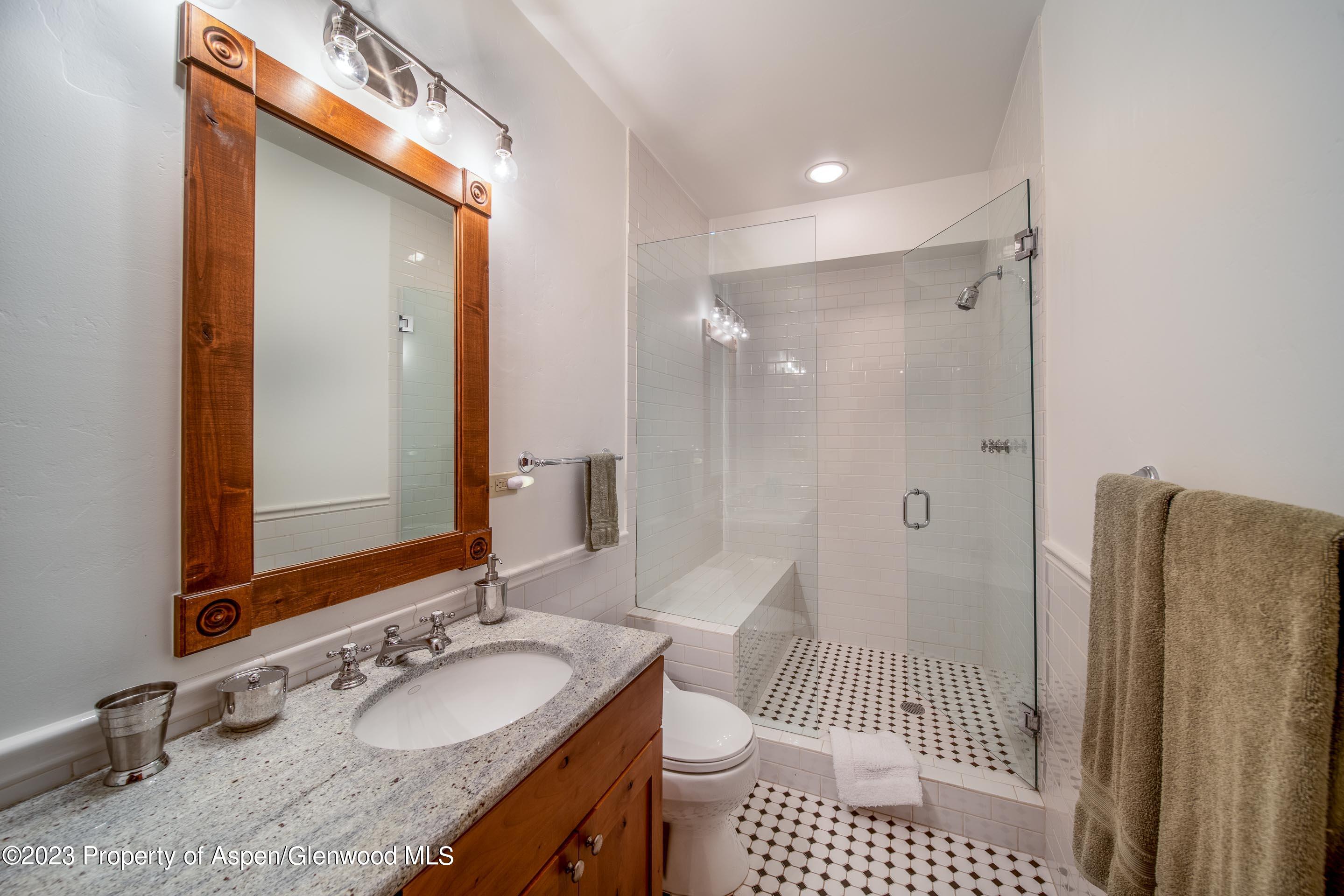 503 West Main Street, Unit B101 Aspen, CO 81611 - Photo 15 of 16 a bathroom with a sink a toilet and shower