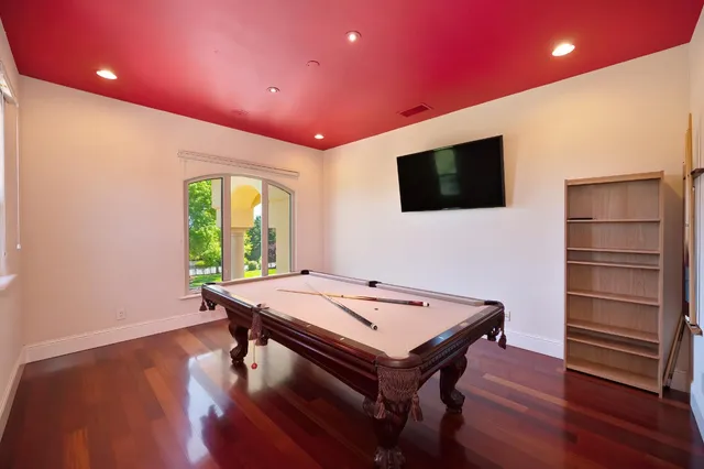 a view of a garden with plants and large trees