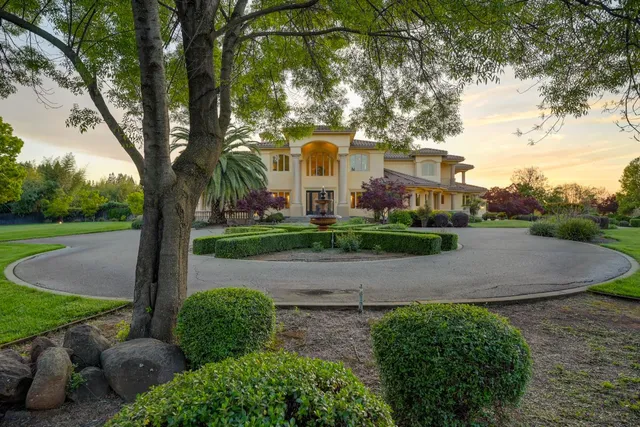 a living room with furniture a fireplace and a potted plant