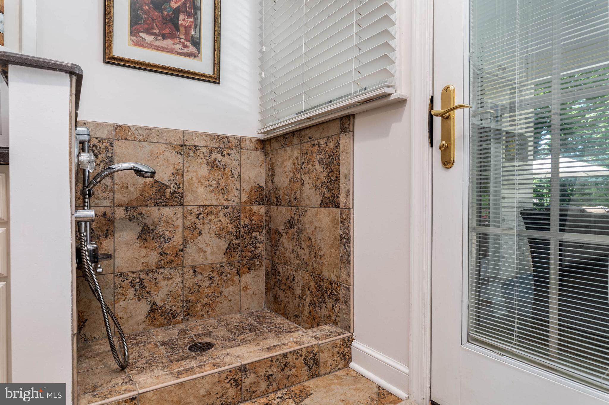 518 Northfield Road Devon, PA 19333 - Photo 48 of 54 Dog Shower