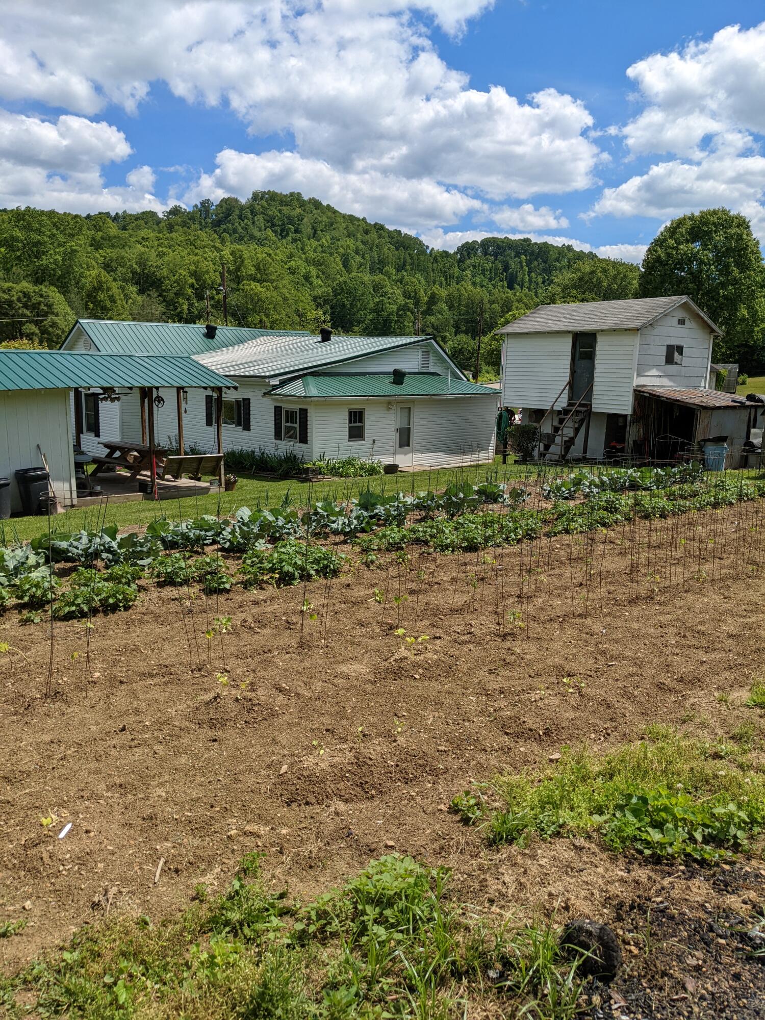 6537 Stephens Road Wise, VA 24293 - Photo 27 of 41 Fantastic garden!