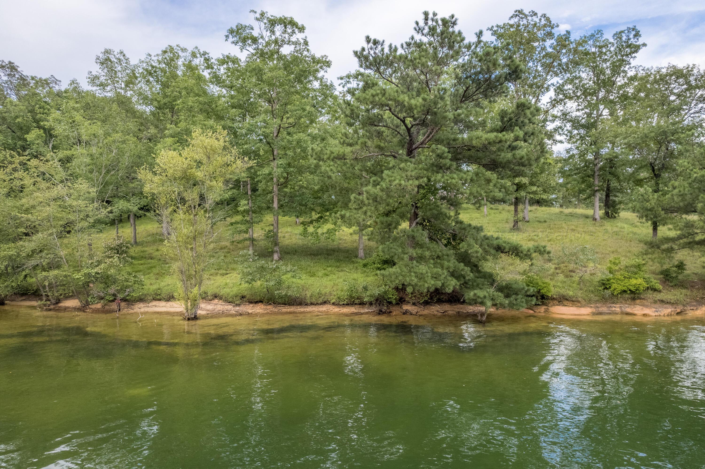 2 Sipsey Pines Road Arley, AL 35541 - Photo 2 of 27 Gallery Image 2