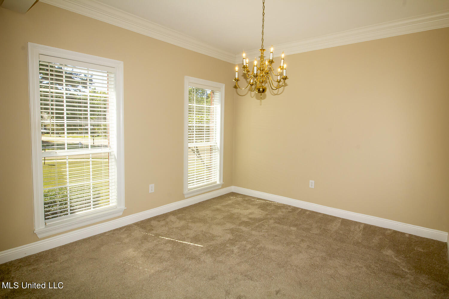 301 Windy Ridge Drive Brandon, MS 39042 - Photo 5 of 42 IMG_4956